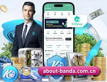 半岛综合 APP 深度功能